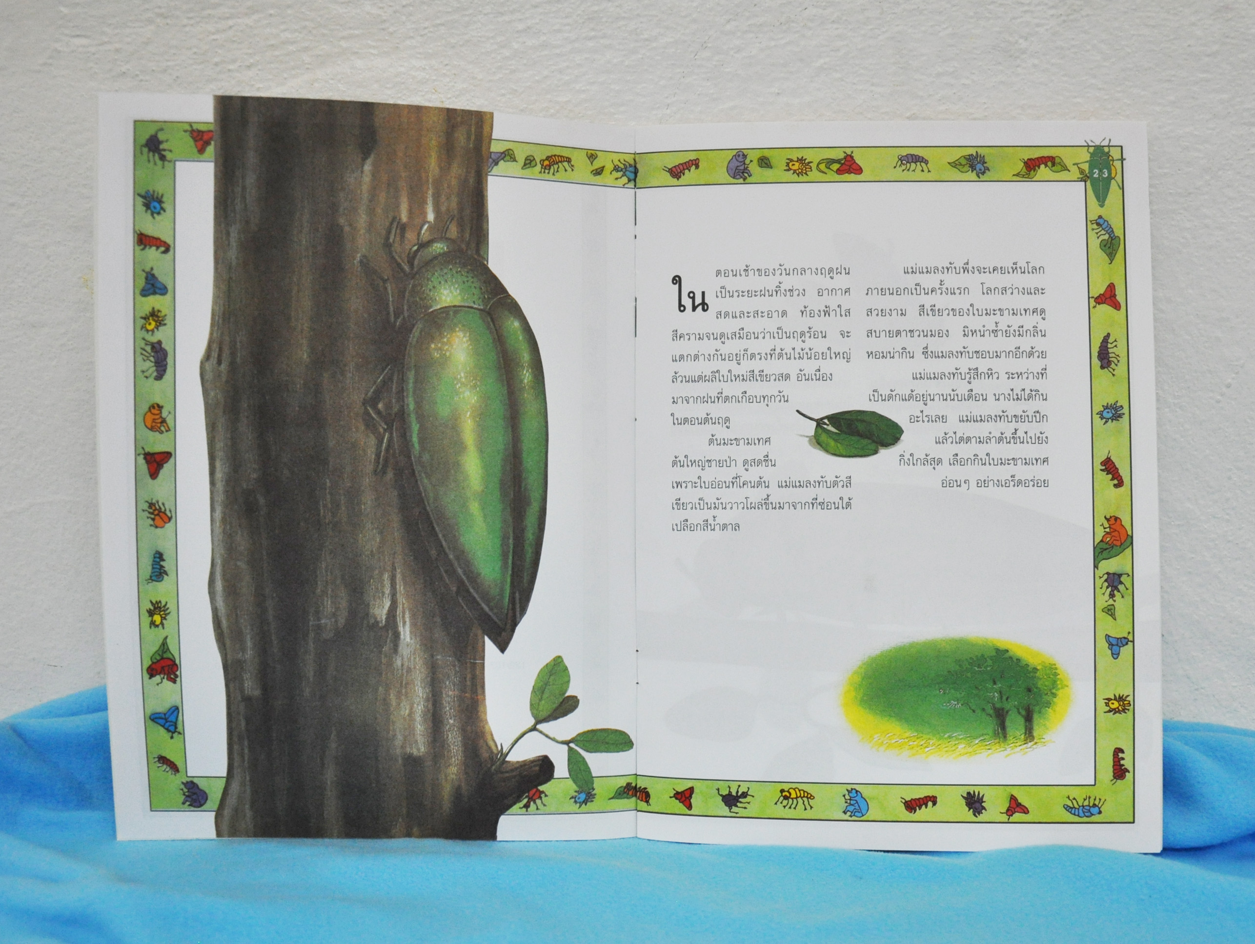 แมลงทับทอง / สิรินทร์ ช่วงโชติ