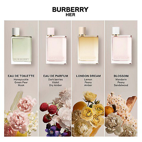 Burberry Her Travel Mini Set