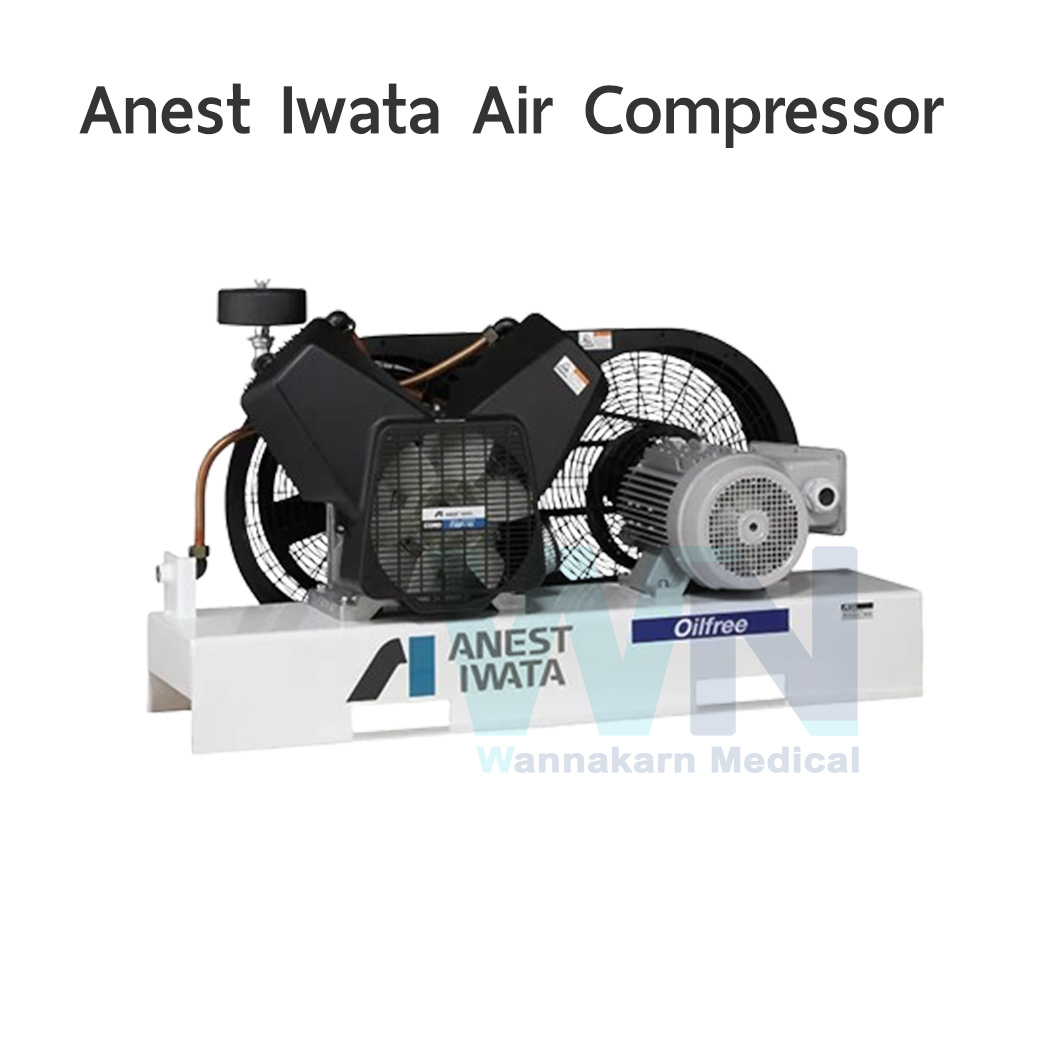 Anest Iwata BFT 150D 9E Oil Free Air Compressor คอมเพรสเซอร์