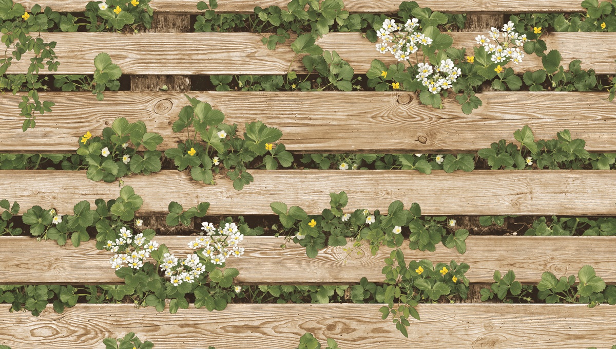 Natural 4 87020-2