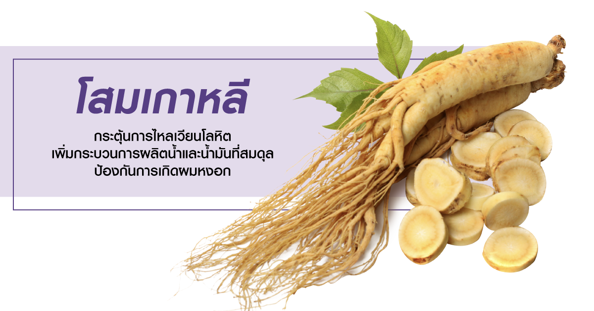 Daeng Gi Meo Ri Vitalizing Shampoo 145 ml.