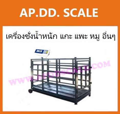 เครื่องชั่งสัตว์ เครื่องชั่งสัตว์เลี้ยง เครื่องชั่งน้ำหนักสัตว์ เครื่องชั่งน้ำหนักแกะ แพะ หมู รุ่น WQ2-B Medium ยี่ห้อ e-Accura