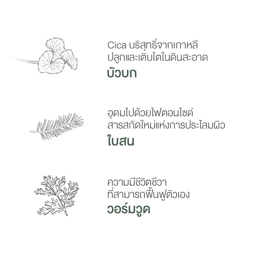 NEEDLY Cicachid Chilling Pad 70 Pads