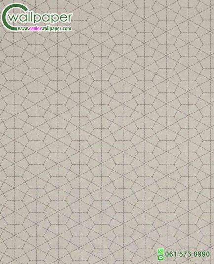 วอลเปเปอร์ติดผนังลายเส้น No.219043 วอลเปเปอร์ลายเส้น