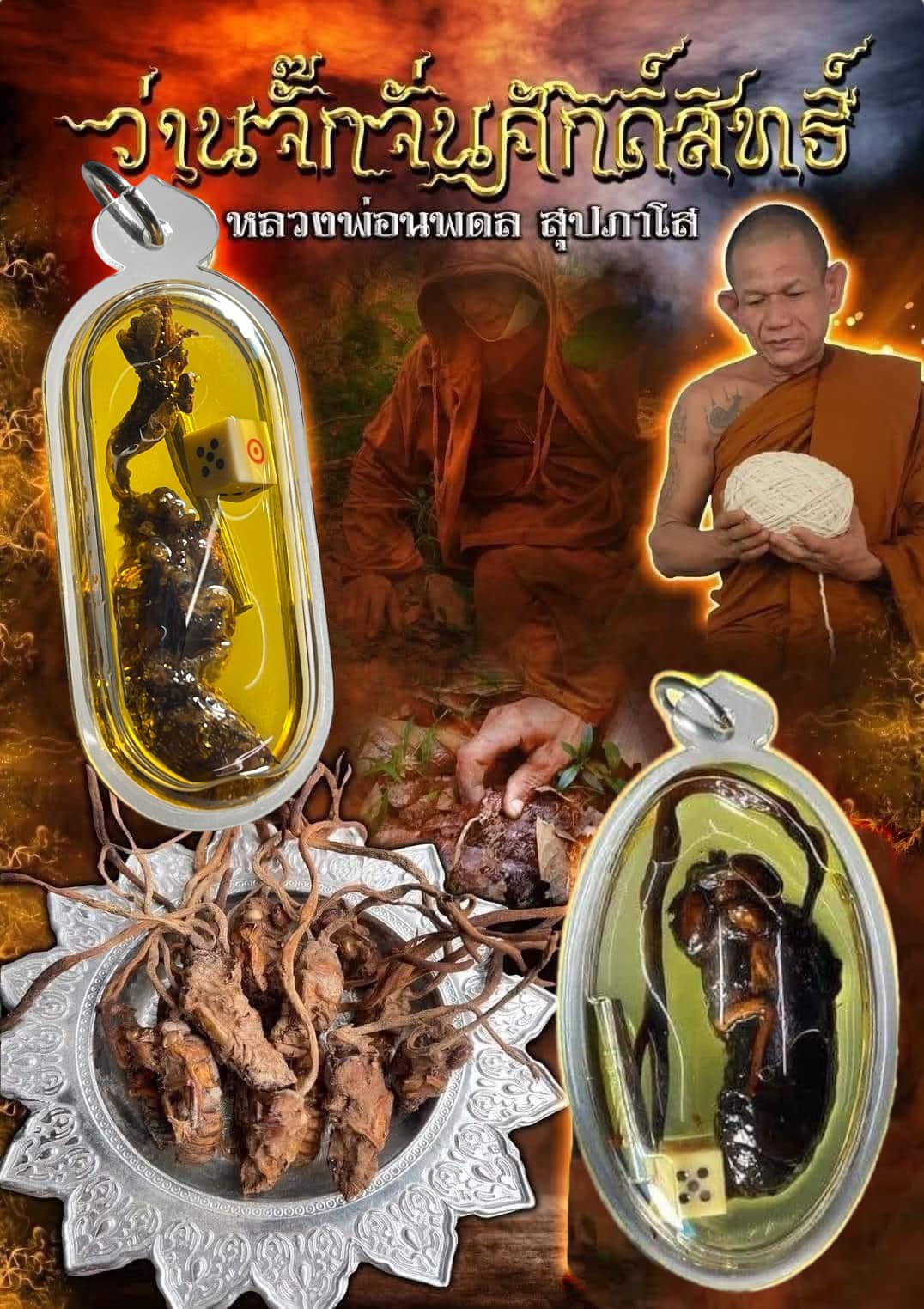 ว่านจั๊กจั่นศักดิ์สิทธิ์ หลวงพ่อนพดล สุปภาโส