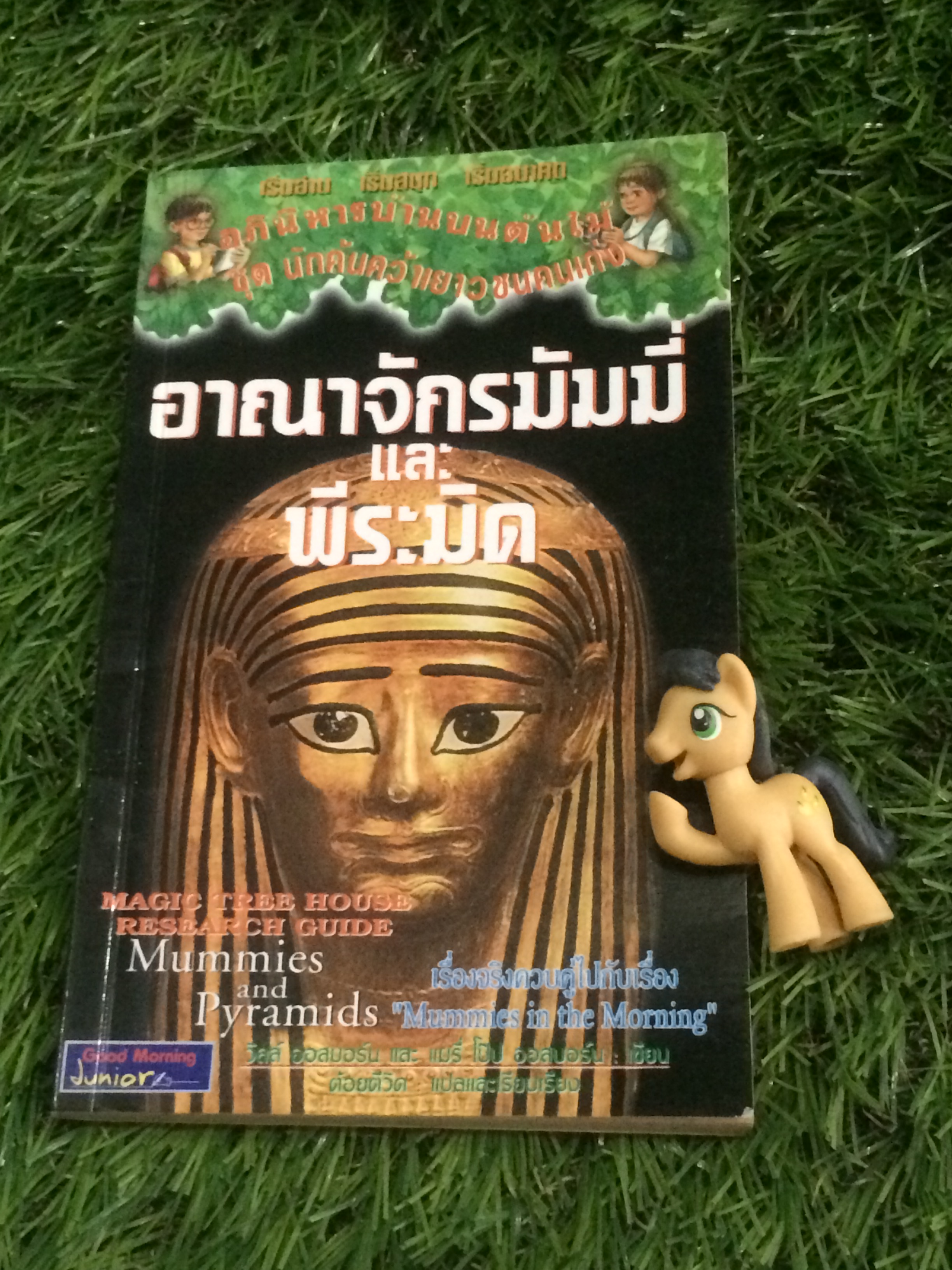 อาณาจักรมัมมี่และพีระมิด