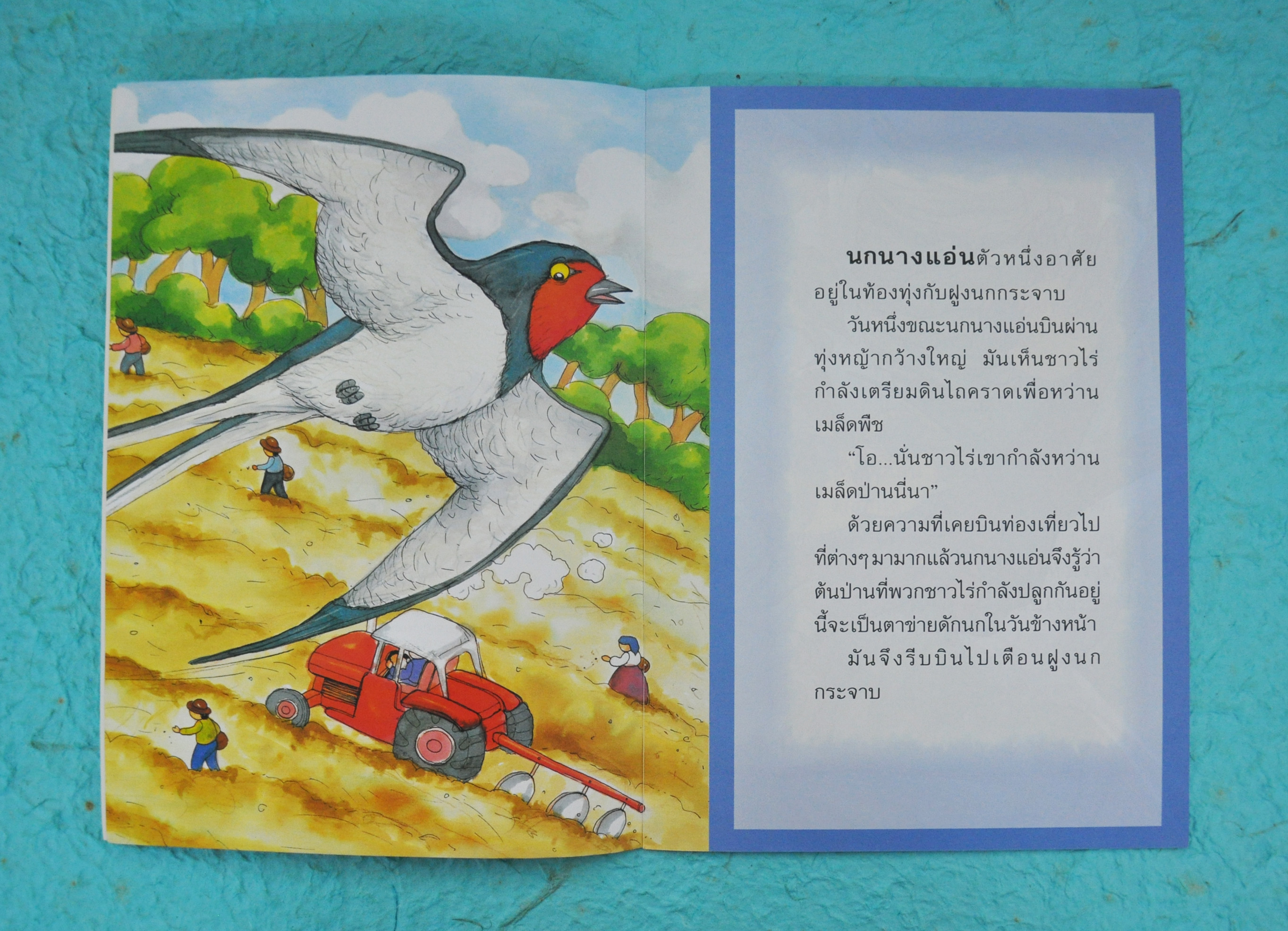 นกนางแอ่นกับฝูงนกกระจาบ