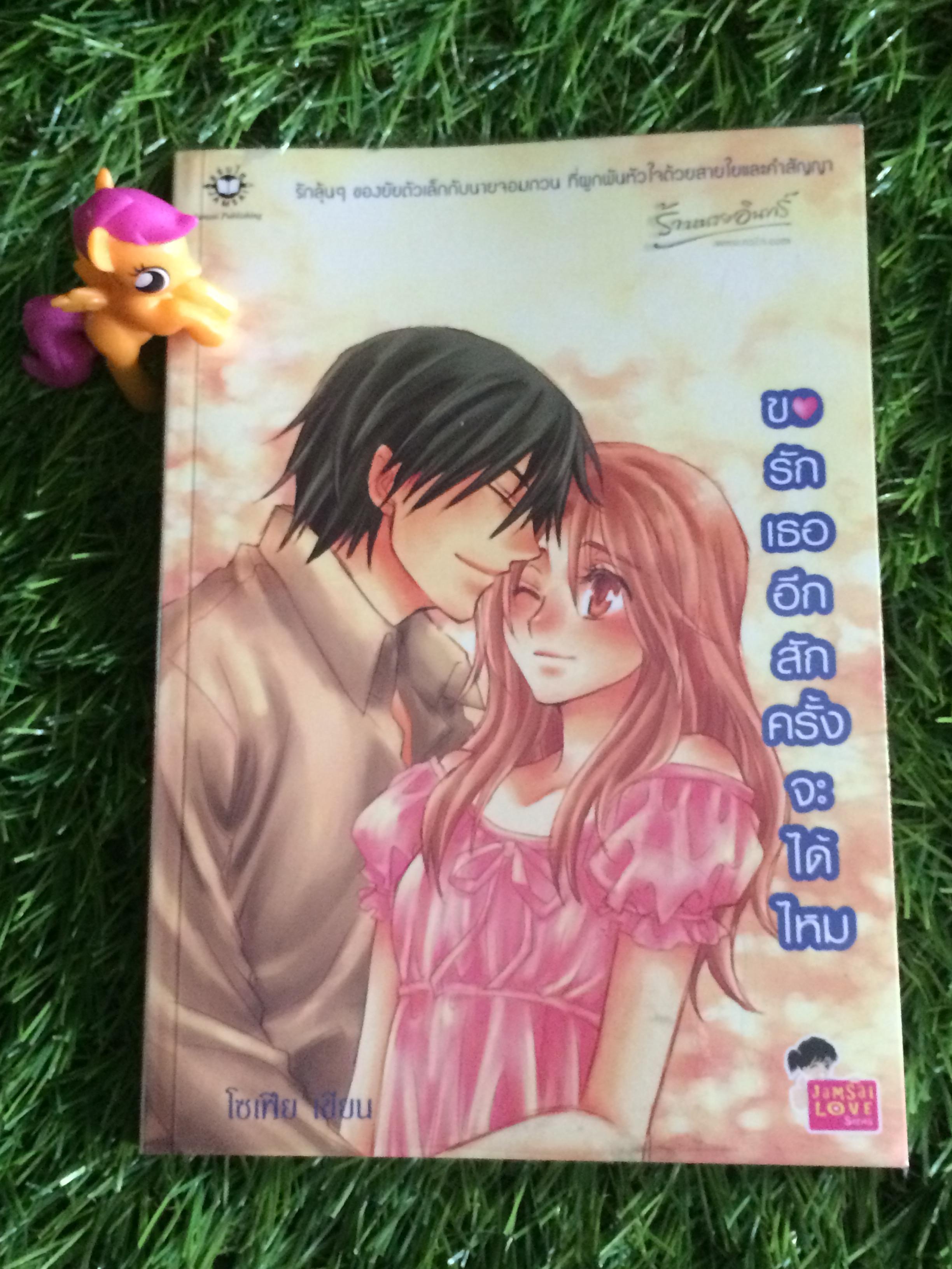 ขอรักเธออีกสักครั้งจะได้ไหม