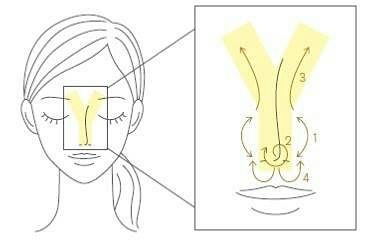 Three Balancing Y Line Oil 20 ml.