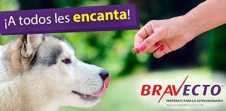 Bravecto20-40kgบราเวคโตสำหรับสุนัข