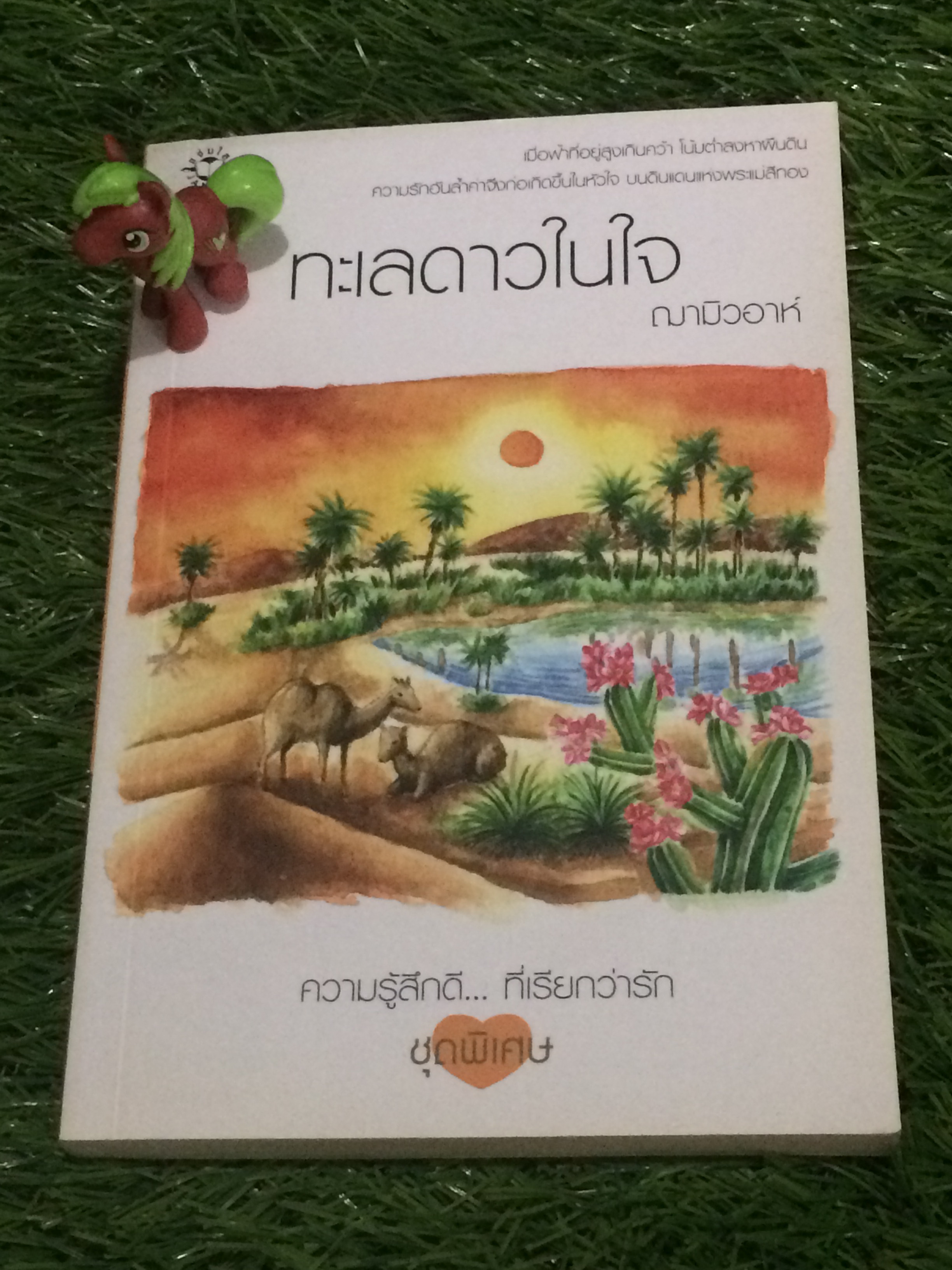 ทะเลดาวในใจ