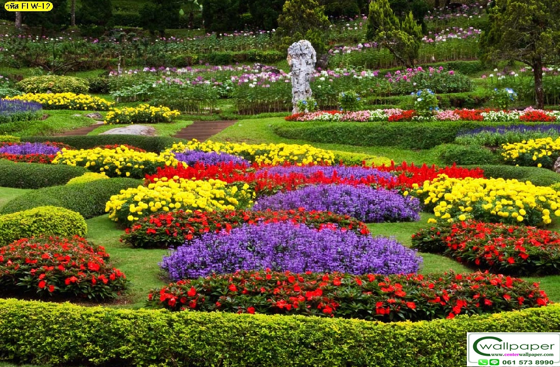 วอลเปเปอร์สั่งพิมพ์ลายดอกไม้ FLW-12