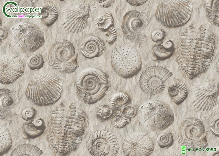 wallpaper วินเทจอาร์ต