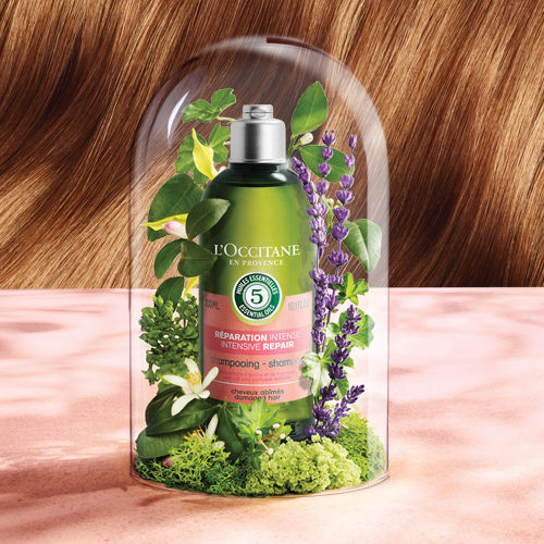 L'Occitane Intensive Repair Shampoo Eco-Refill 500 ml.