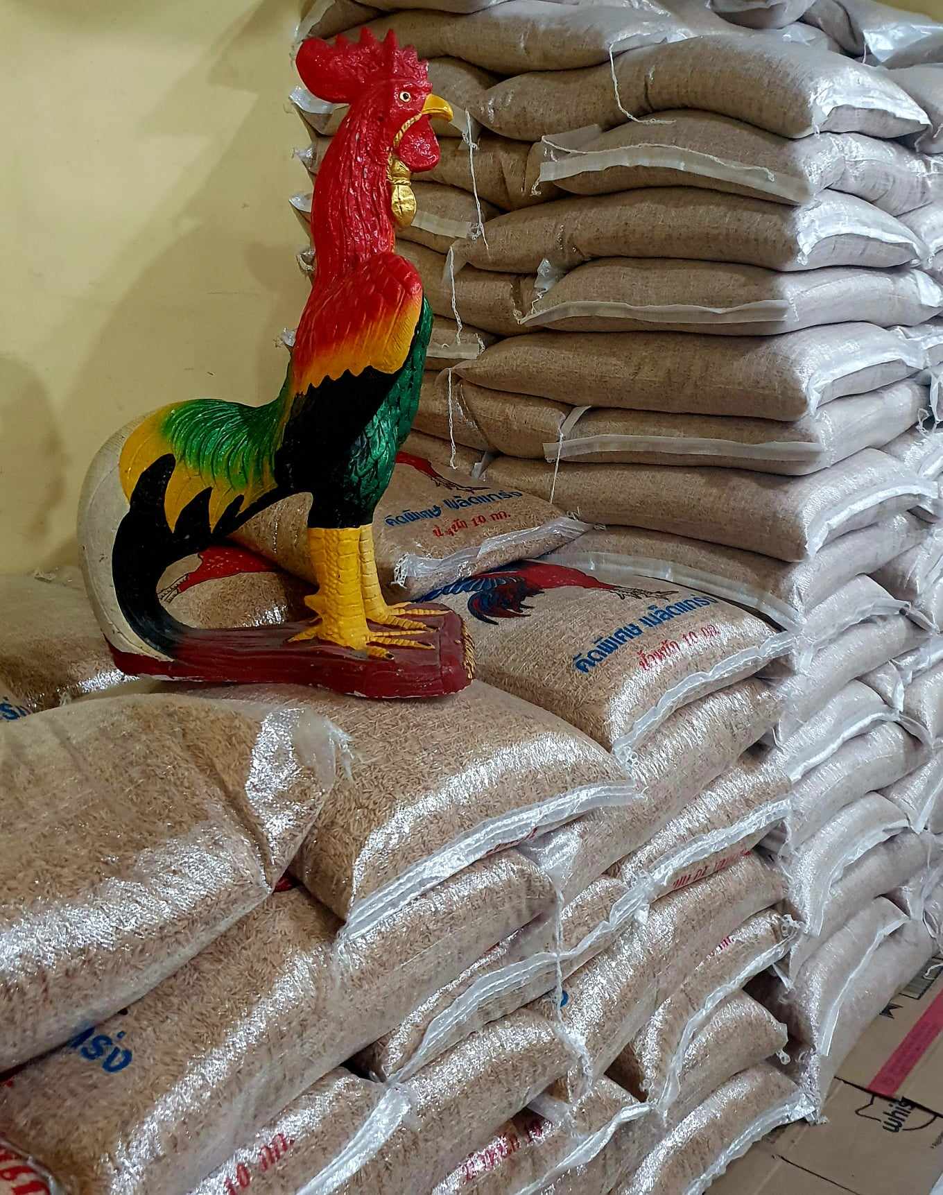 ขายส่งข้าวเปลือกไก่ชน 10กก.110-120 บาท