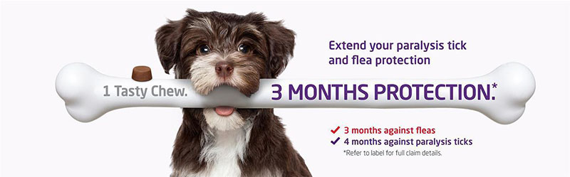 บราเวคโต้ สุนัขแบบกินได้3เดือน Bravect𝕆 for dog 20-40kg 1 chewable