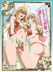 Character Sleeve Ikkitousen "Sonsaku & Sonken"