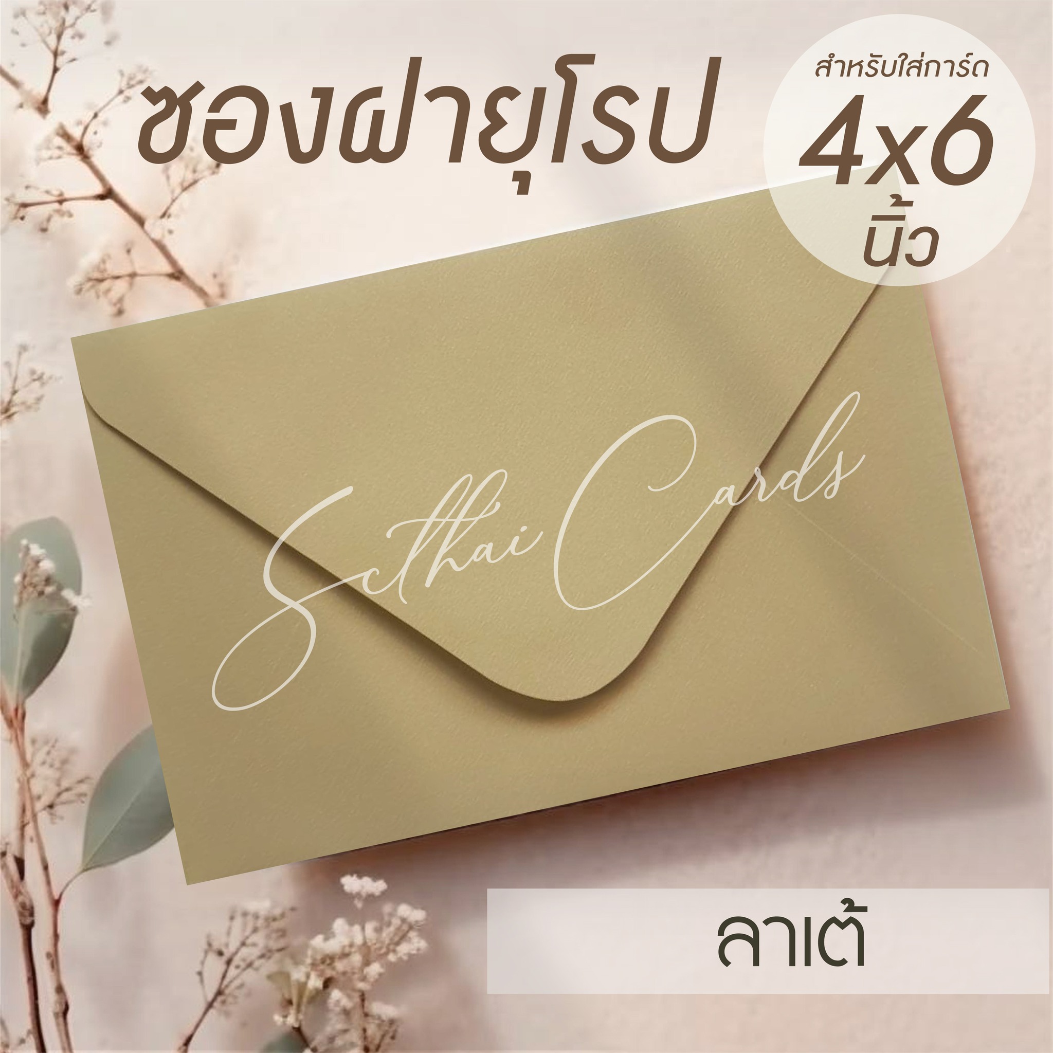 รหัสสินค้า : ซองเปล่า ทรงฝายุโรป-สีลาเต้