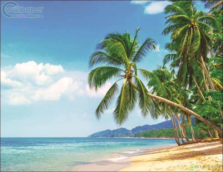 ภาพวิวสำเร็จรูป ภาพชายหาดเขตร้อน
