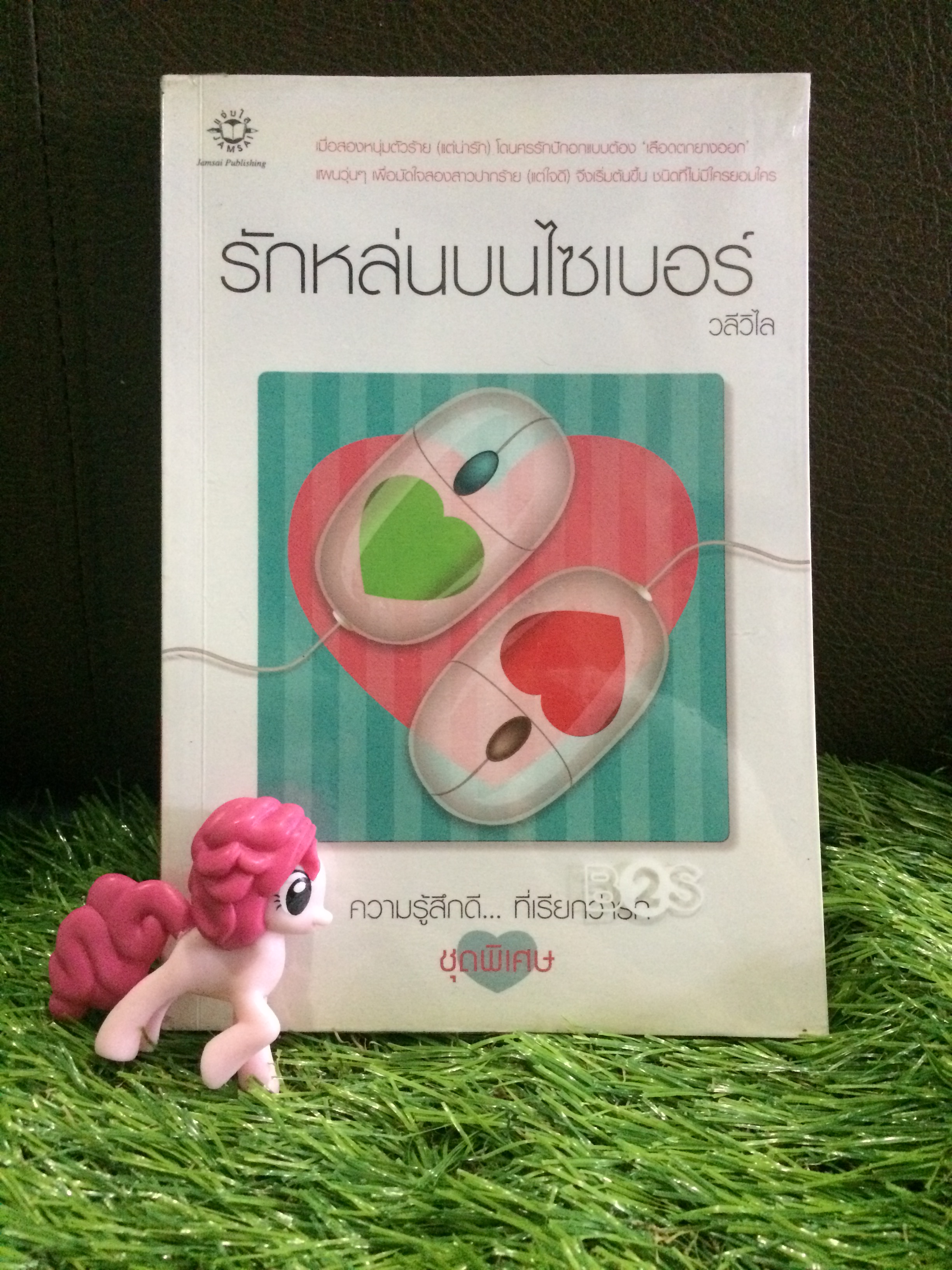 รักหล่นบนไซเบอร์