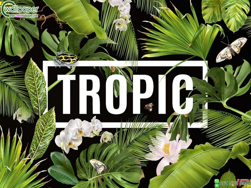 รวมวอลเปเปอร์ใบไม้สั่งผลิต