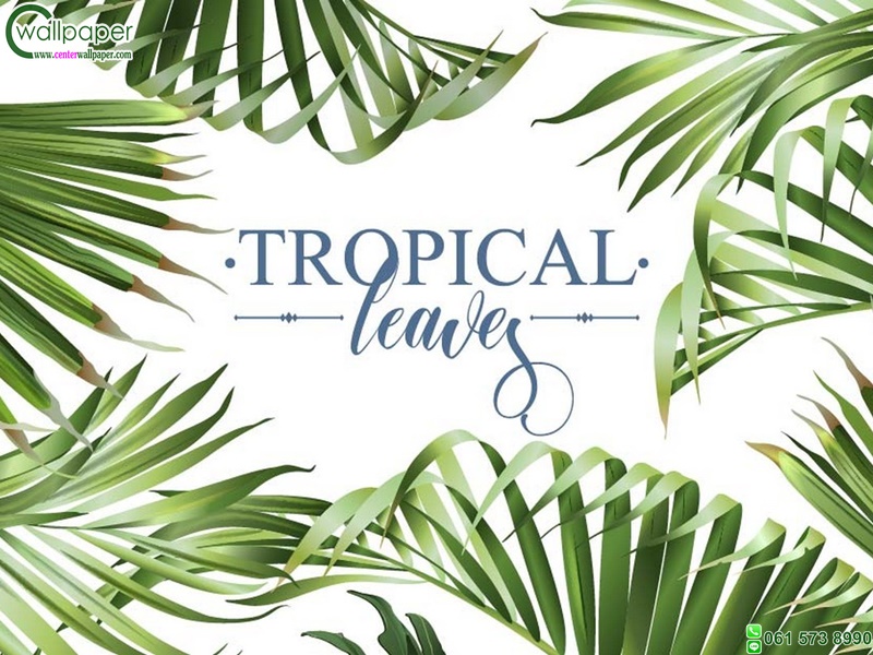 รวมวอลเปเปอร์ใบไม้สั่งผลิต