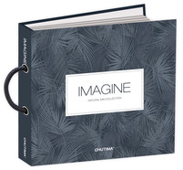 IMAGINE