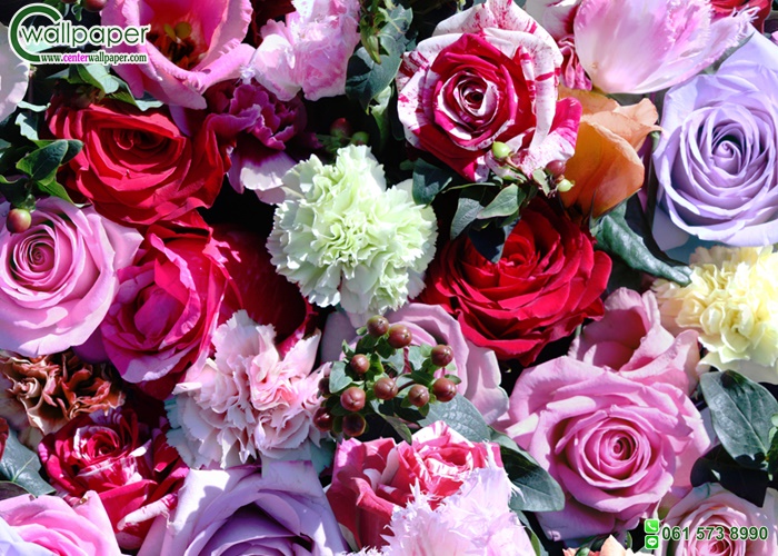 wallpaper วินเทจอาร์ต