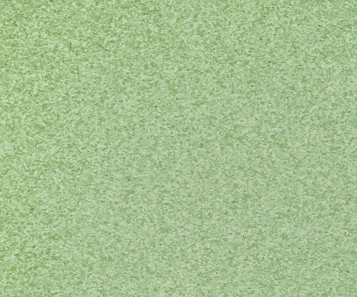 HM-T215