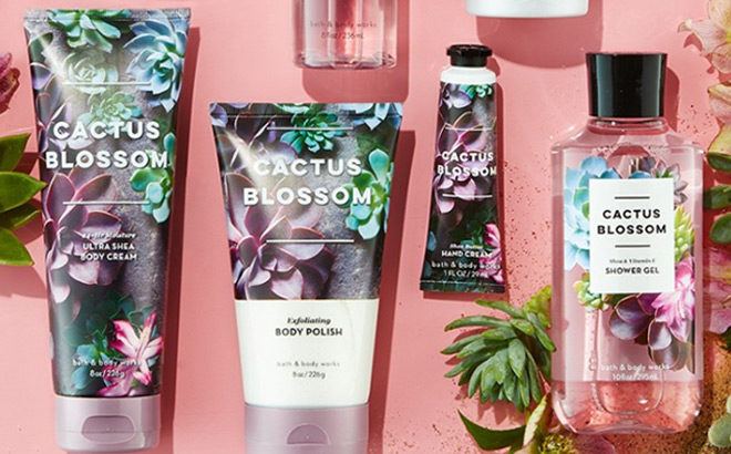 Bath & Body Works Shower Gel 295 ml. #Cactus Blossom