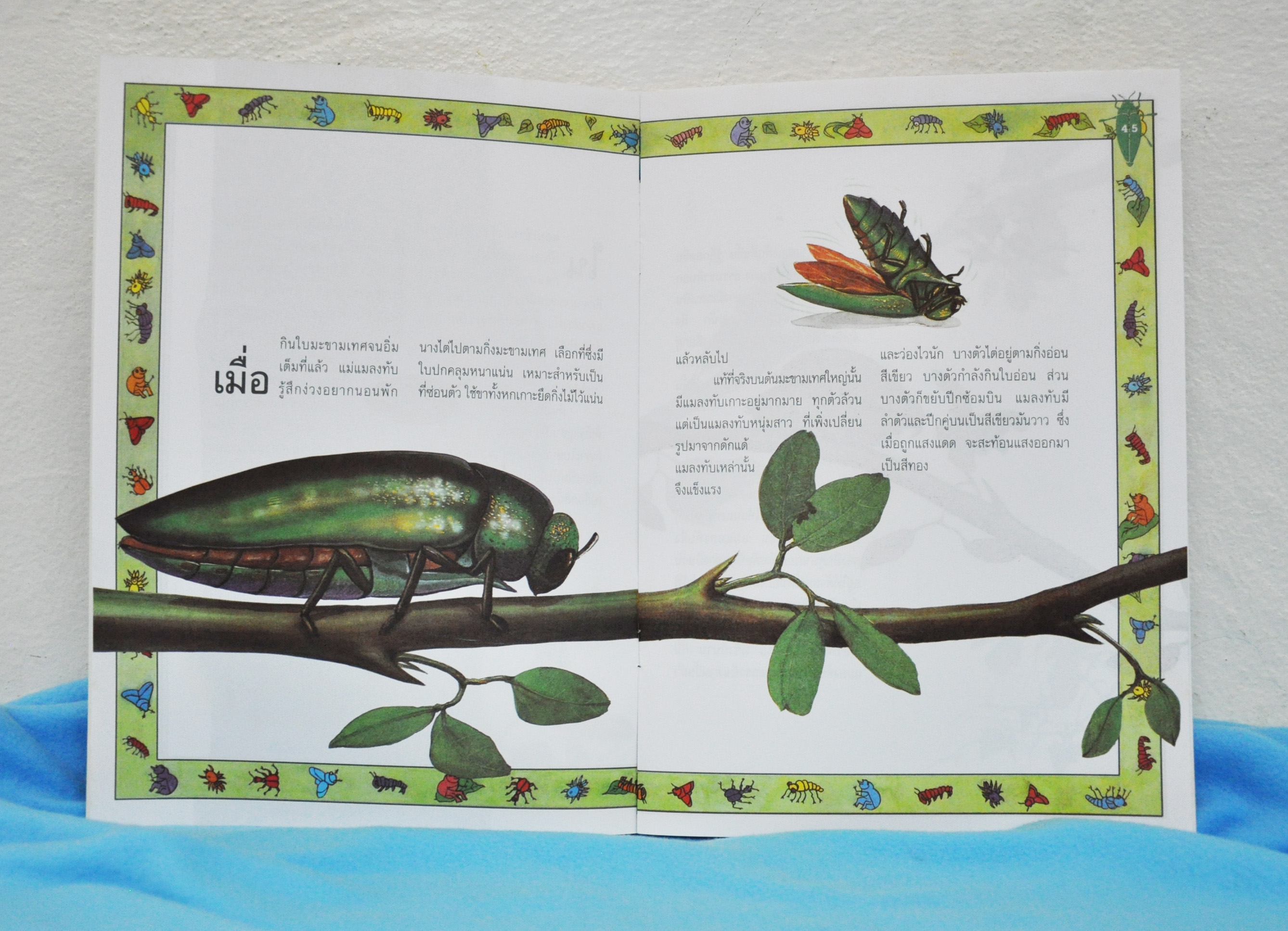 แมลงทับทอง / สิรินทร์ ช่วงโชติ