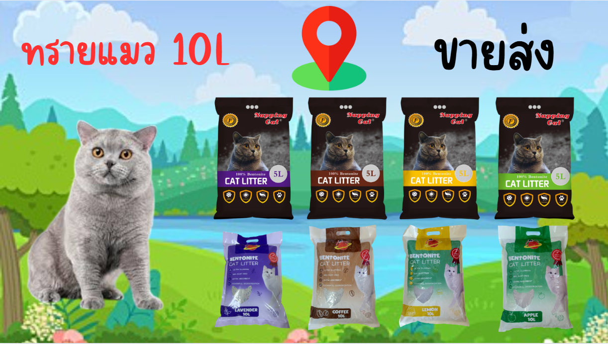 ขายส่งทรายแมว 10 ลิตร 65-75บาท