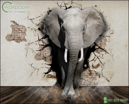 ภาพวิวสำเร็จรูป ภาพช้างทะลุกำแพง 3D