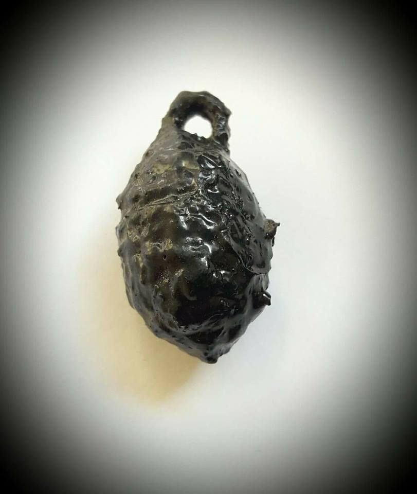 หมากทุย หลวงพ่อยศ อกิญจโน วัดป่าบ้านสังข์จ.ร้อยเอ็ด