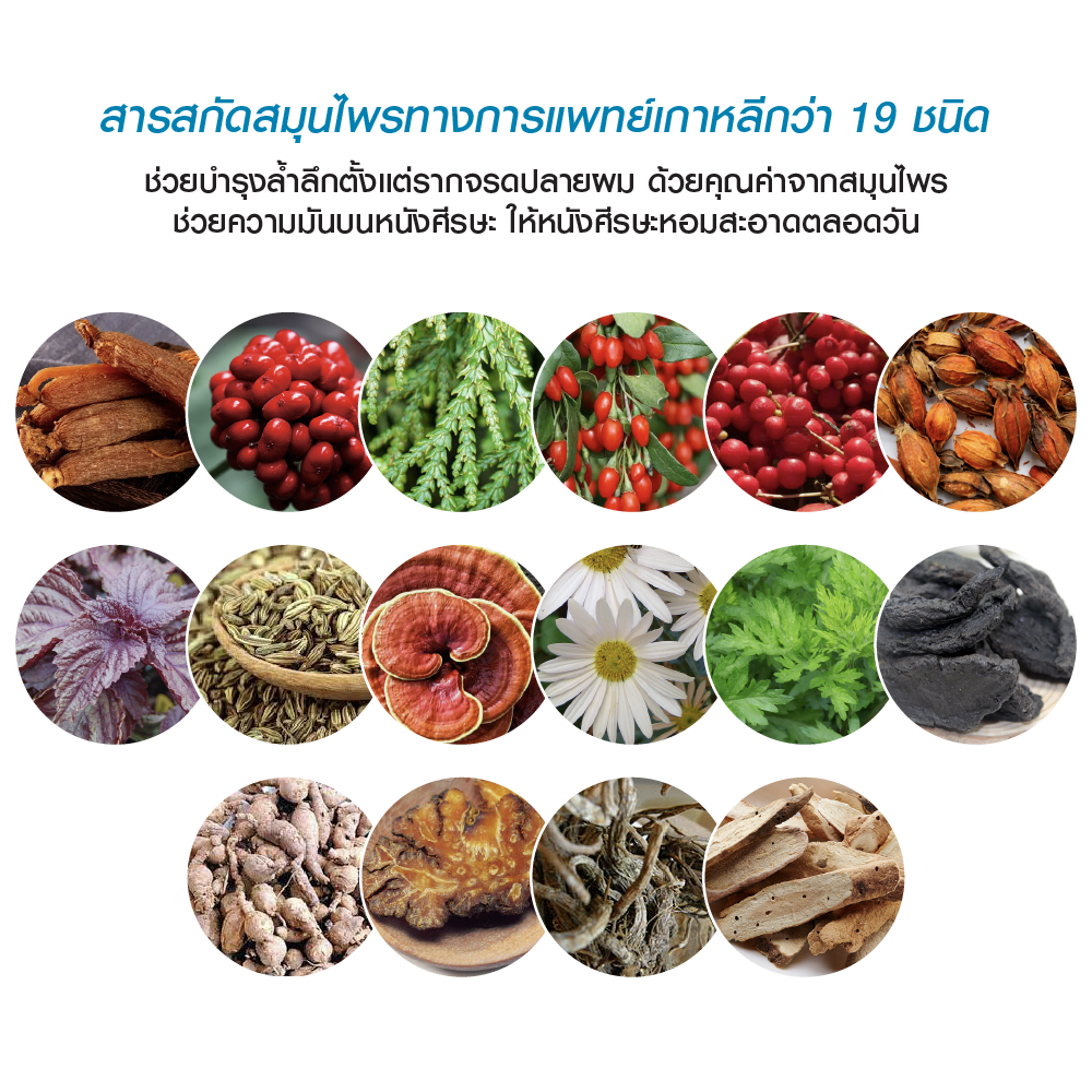 Daeng Gi Meo Ri Vitalizing Shampoo 500 ml. New Package