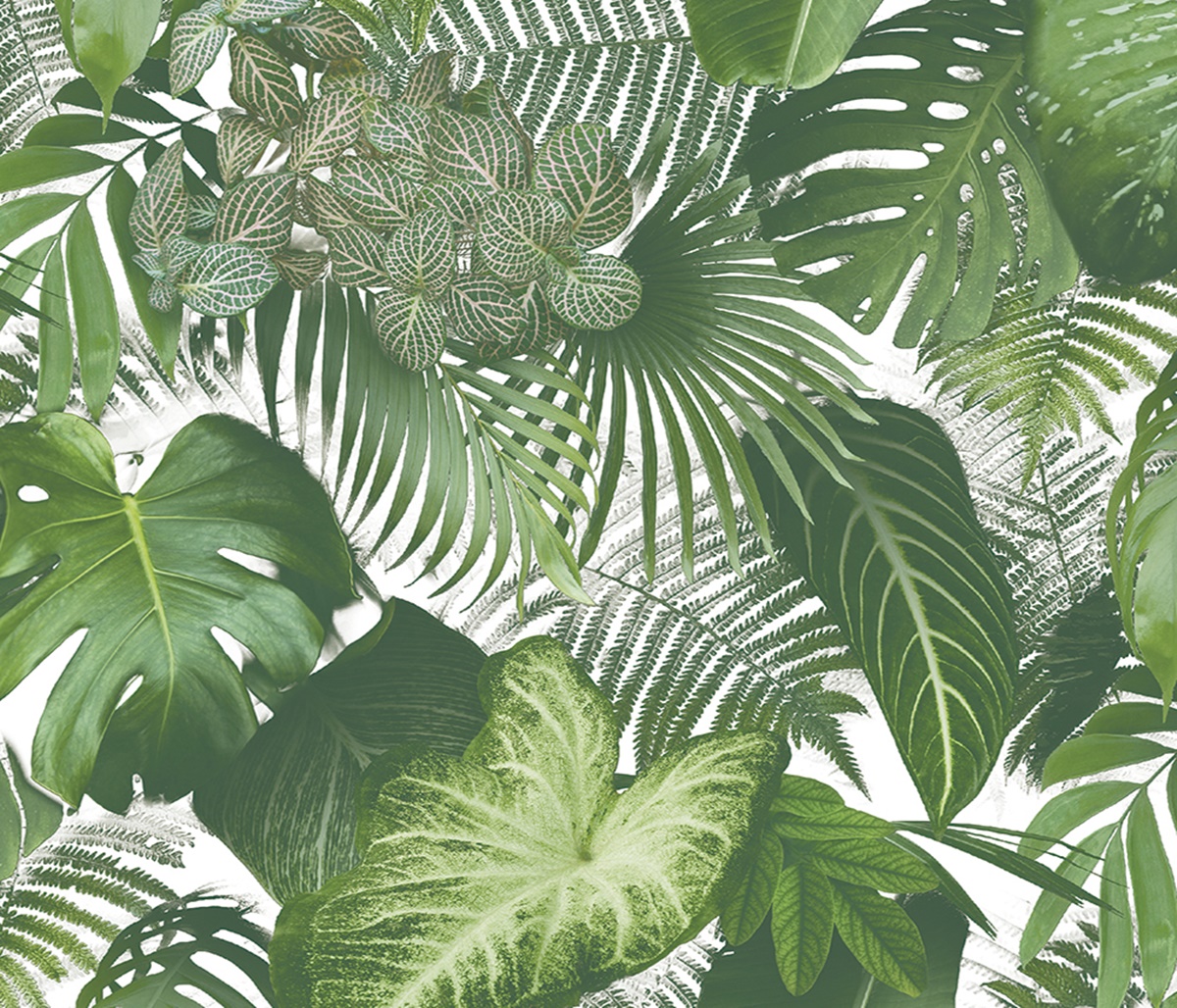 Botanic 74016-1
