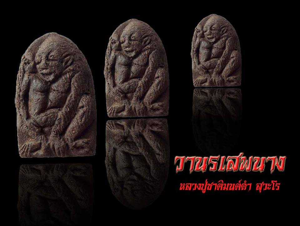 วานรเสพนาง หลวงปู่ชาติมนต์ดำ สุวะโร ที่ปฏิบัติธรรมโคกสูง จังหวัดร้อยเอ็ด