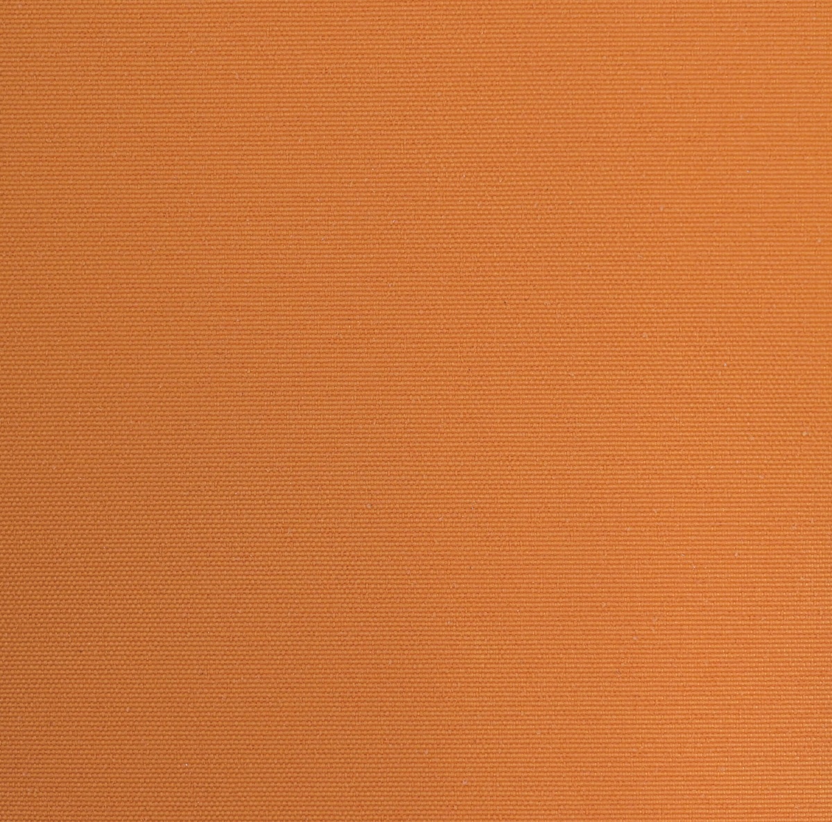 ROSEWOOD 55010