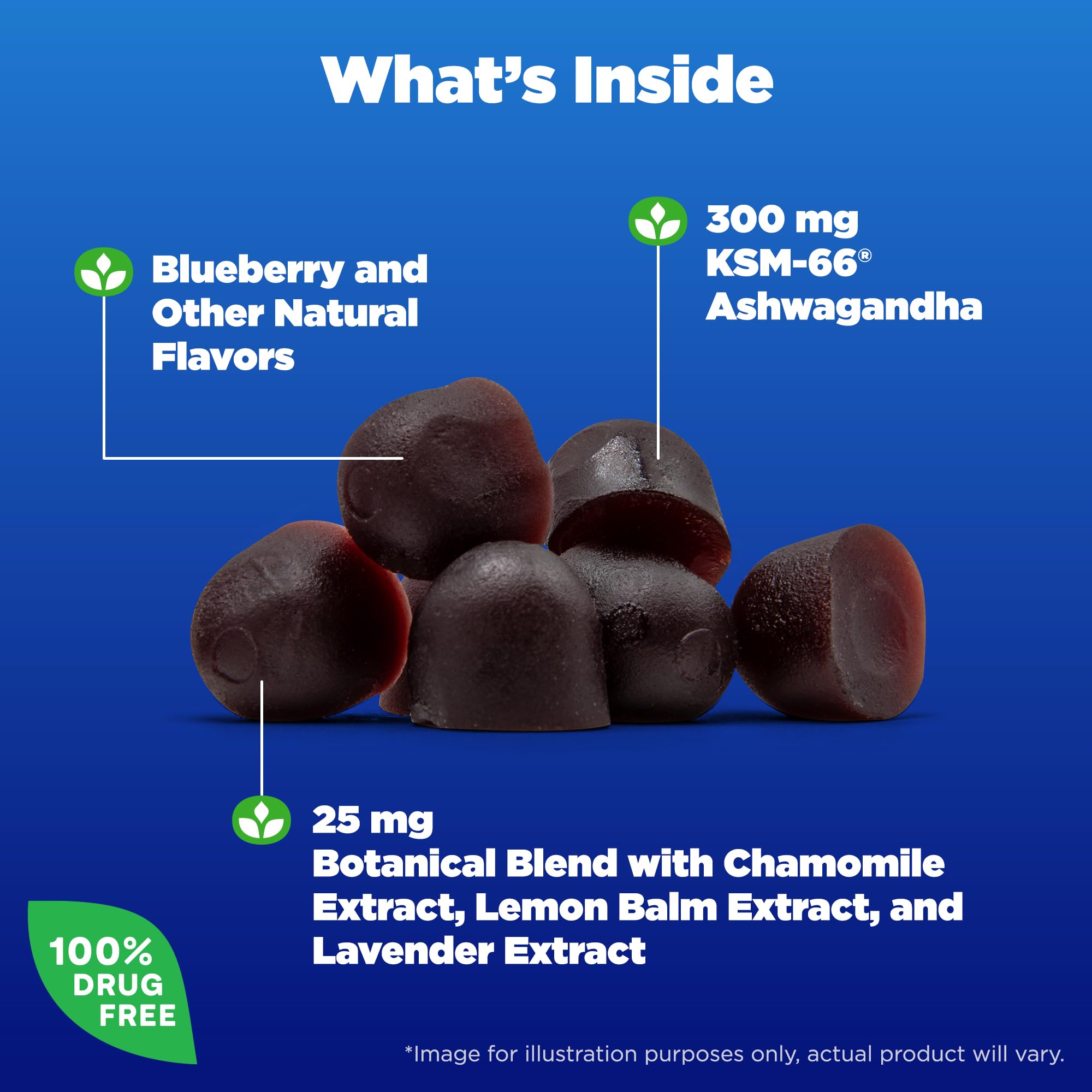 Natrol Soothing Night Blueberry Gummies Without Melatonin 50 Gummies