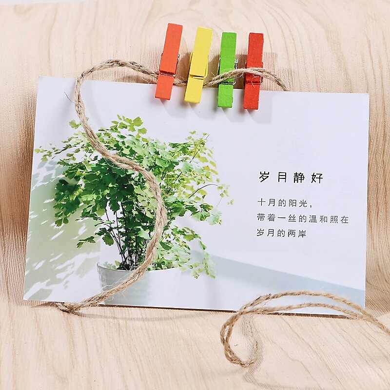 🌈 ตัวหนีบไม้อเนกประสงค์🌈ชุดตัวหนีบ 20 ชิ้น พร้อมเชือก📌เลือกแบบ ราคา 10 บาท✅พร้อมส่ง OHWOWSHOP ไม้หนีบ เชือก หลากสี