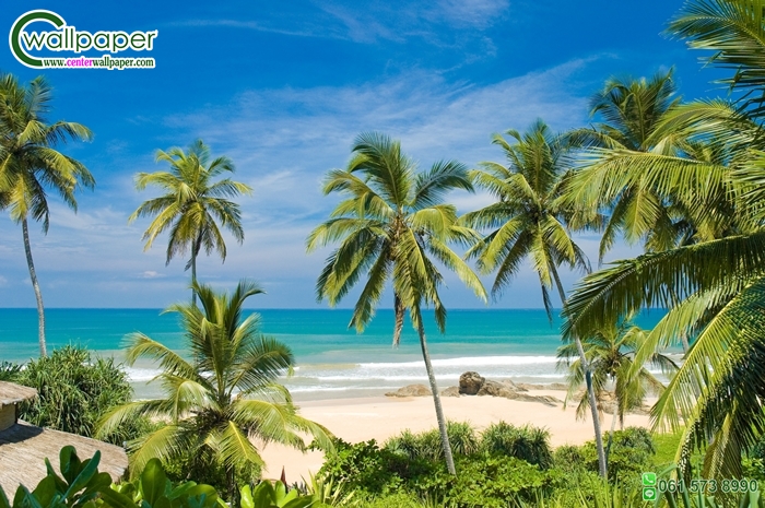 ภาพวิวสั่งพิมพ์ภาพชายหาดสวย