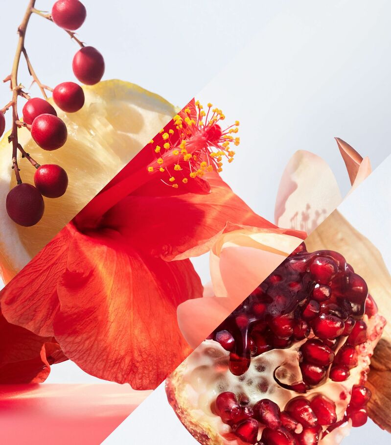 Bvlgari Omnia Coral EDT 100 ml.