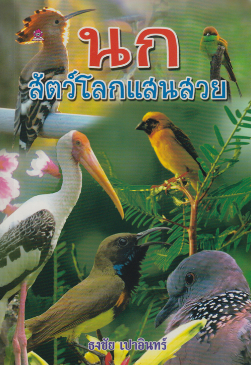 นก สัตว์โลกแสนสวย โดย ธงชัย เปาอินทร์