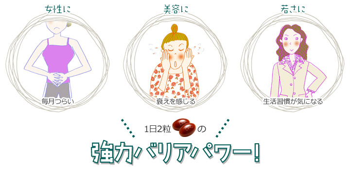 DHC Pycnogenol PB 30 Days 60 เม็ด