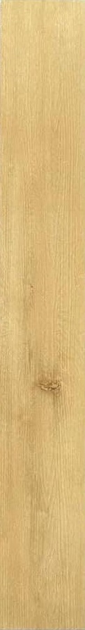 Series SPC 429