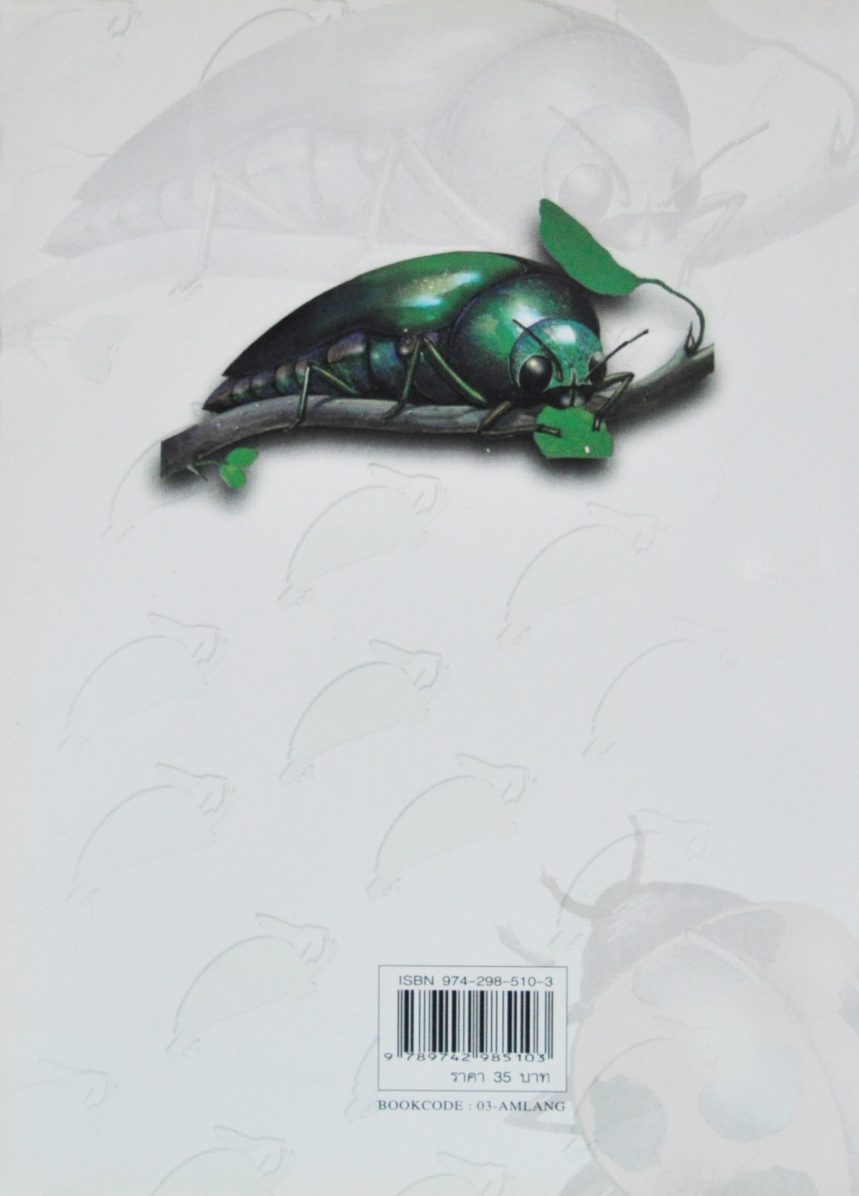 แมลงทับทอง / สิรินทร์ ช่วงโชติ