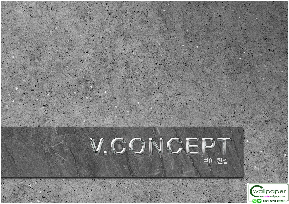 V.CONCEPT