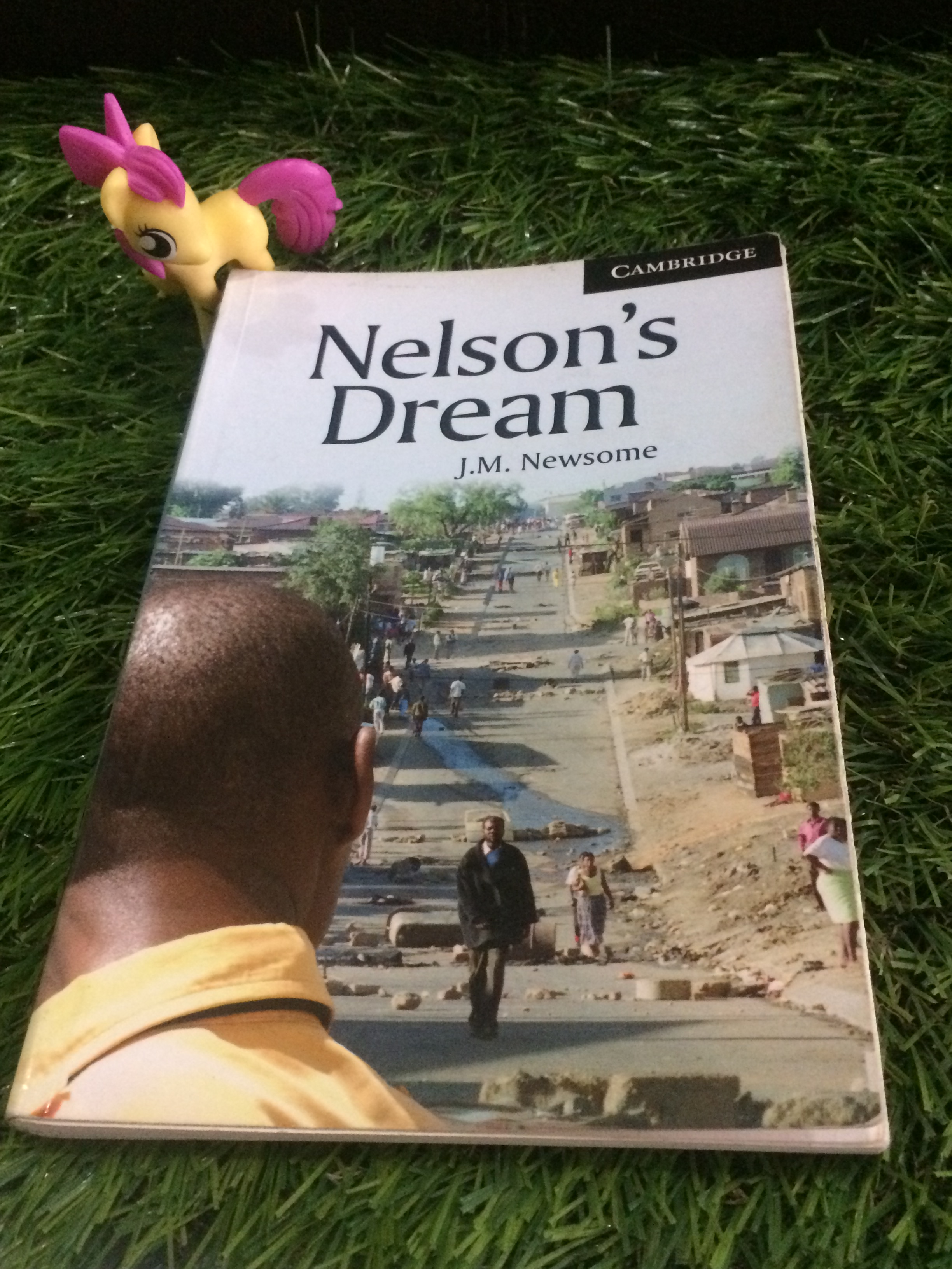 Nelson's Dream
