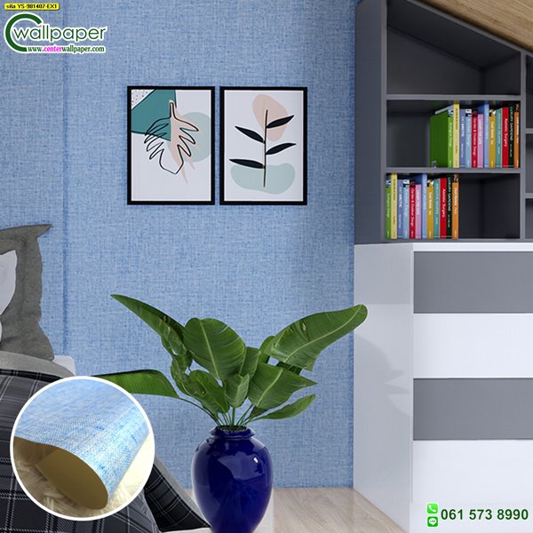 สีพื้นฟ้า-YS-981407-EX1