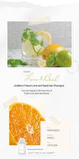 Jmella in France Hair Shampoo 500 ml. No.3 Lime & Basil